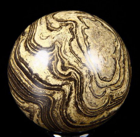 Stromatolite Fossil